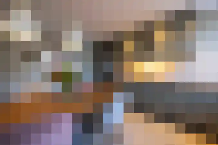 Jeneverbes 4 Oisterwijk thumbnail 14