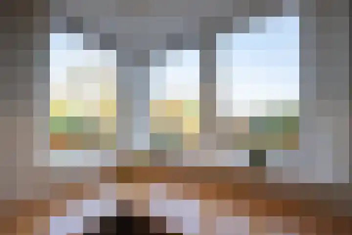 Jeneverbes 4 Oisterwijk thumbnail 15