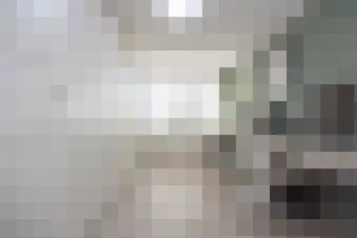 Jeneverbes 4 Oisterwijk thumbnail 18