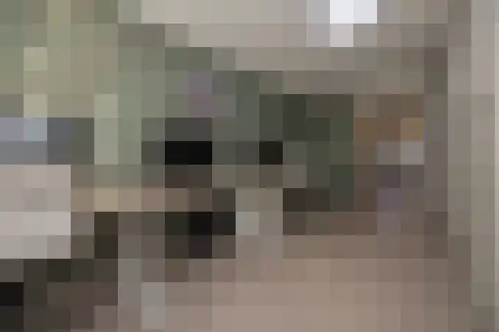 Jeneverbes 4 Oisterwijk thumbnail 19