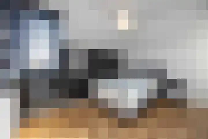 Jeneverbes 4 Oisterwijk thumbnail 23