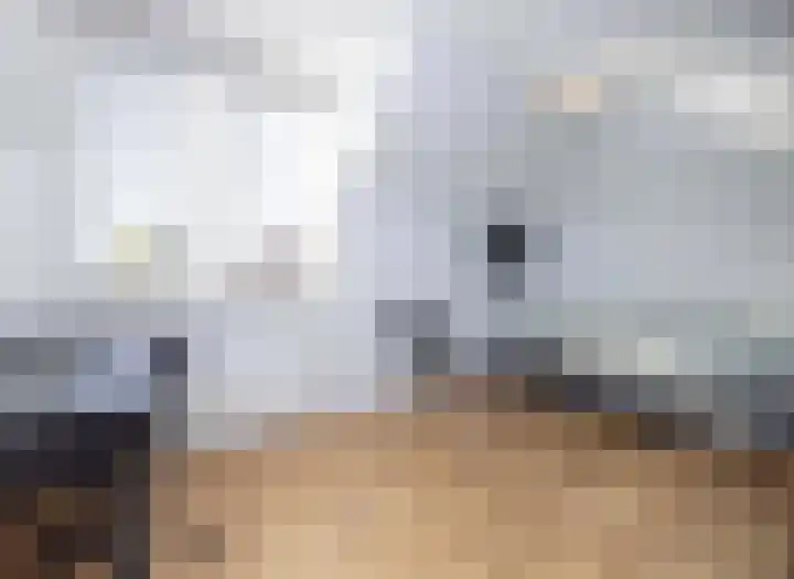 Jeneverbes 4 Oisterwijk thumbnail 25