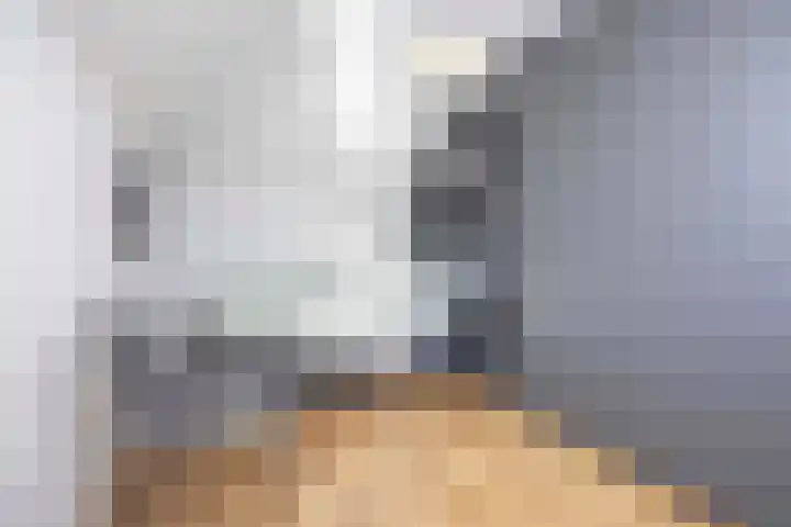 Jeneverbes 4 Oisterwijk thumbnail 26