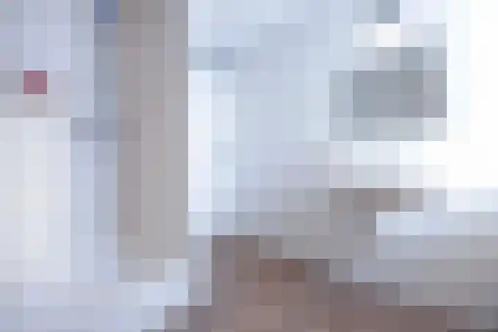 Jeneverbes 4 Oisterwijk thumbnail 27