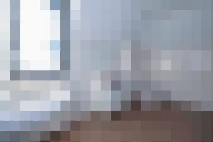 Jeneverbes 4 Oisterwijk thumbnail 28