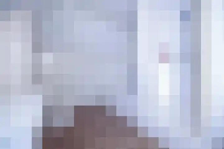 Jeneverbes 4 Oisterwijk thumbnail 29