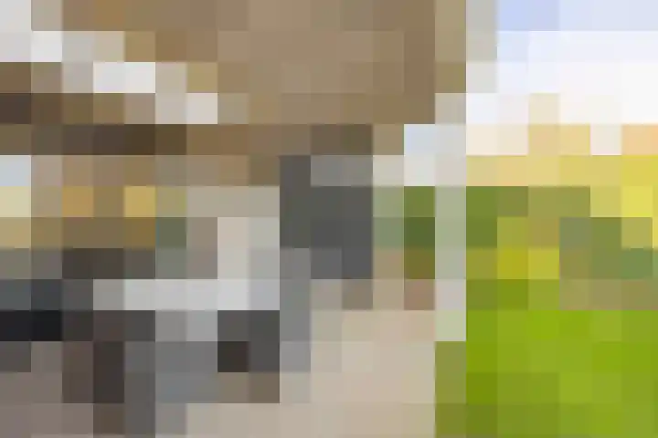 Jeneverbes 4 Oisterwijk thumbnail 33