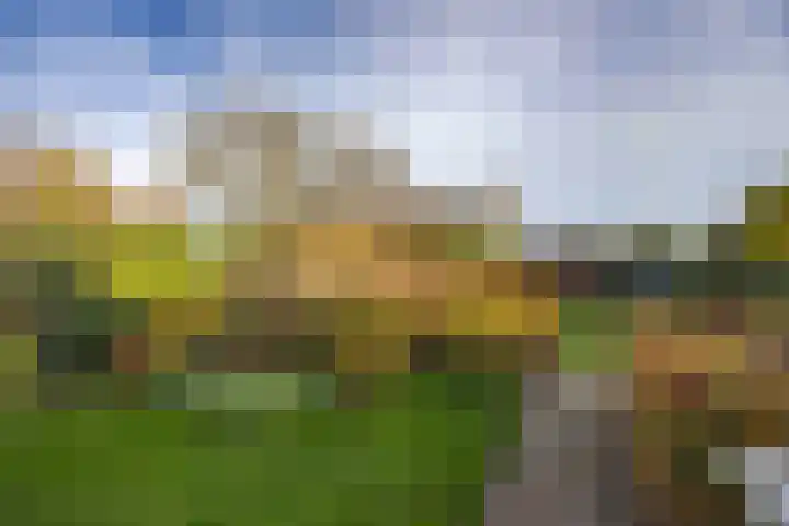 Jeneverbes 4 Oisterwijk thumbnail 35