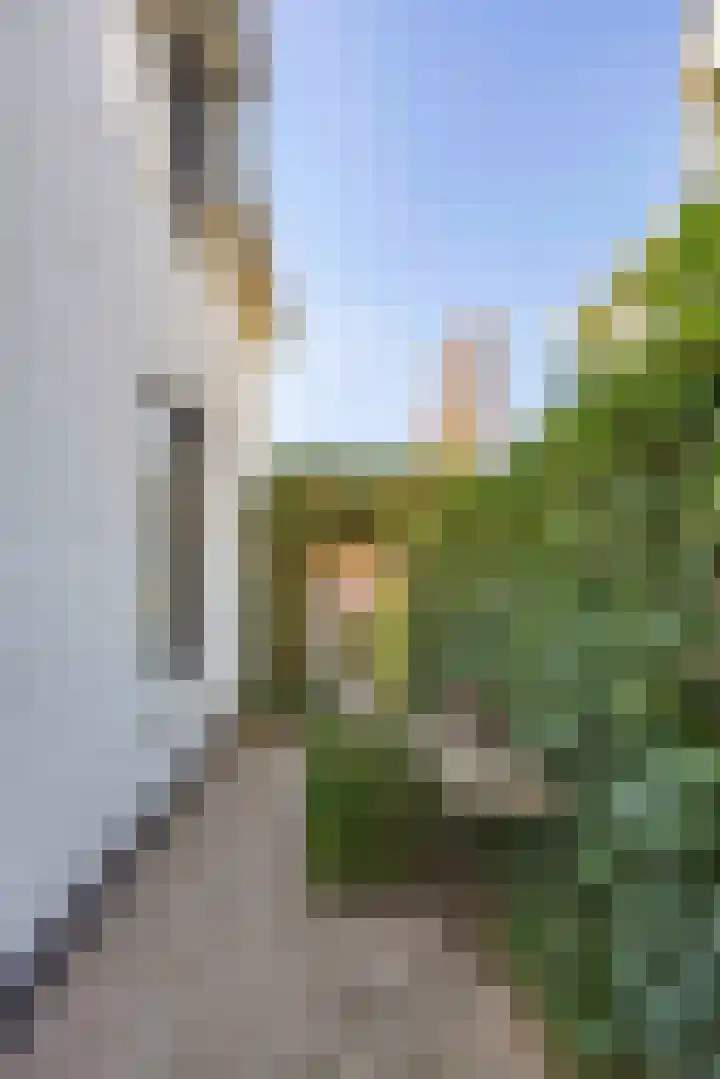 Jeneverbes 4 Oisterwijk thumbnail 37
