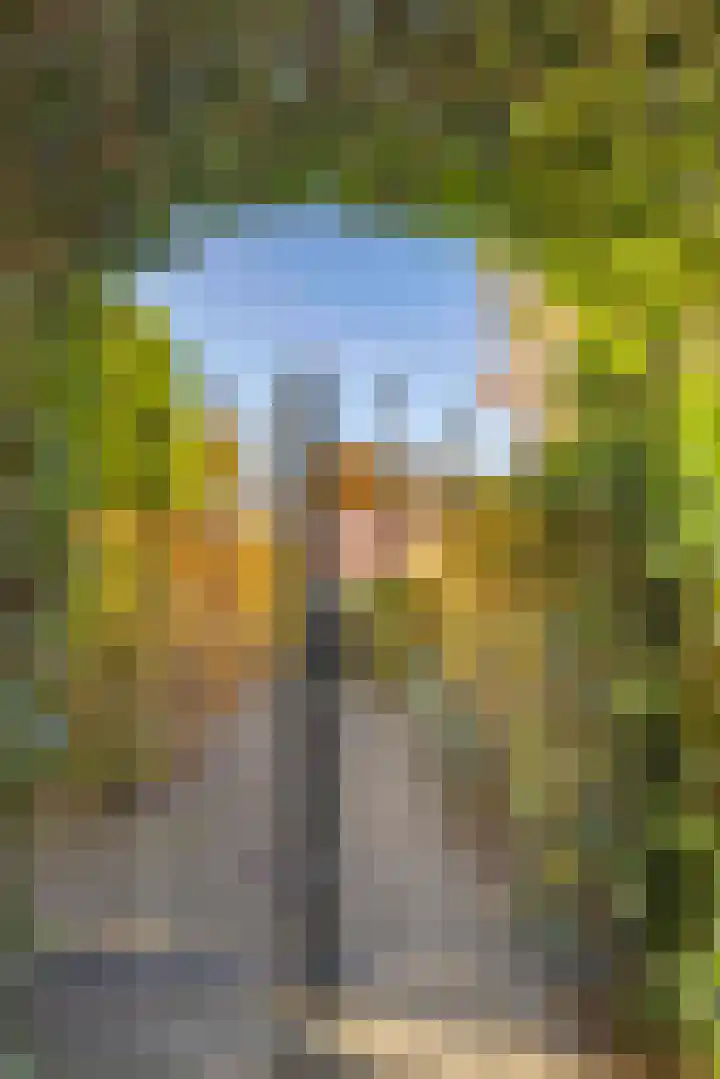 Jeneverbes 4 Oisterwijk thumbnail 38