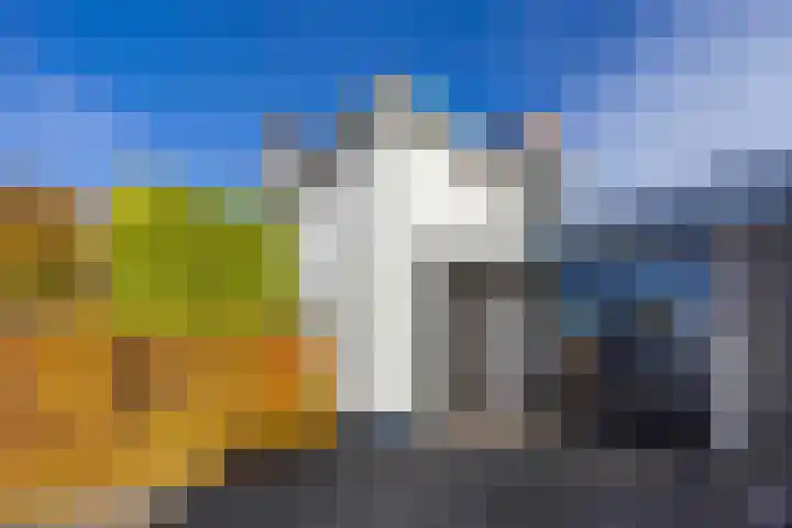 Jeneverbes 4 Oisterwijk thumbnail 4