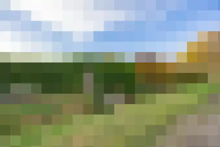 Jeneverbes 4 Oisterwijk thumbnail 40