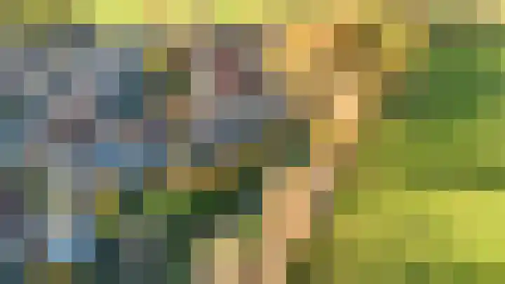 Jeneverbes 4 Oisterwijk thumbnail 43