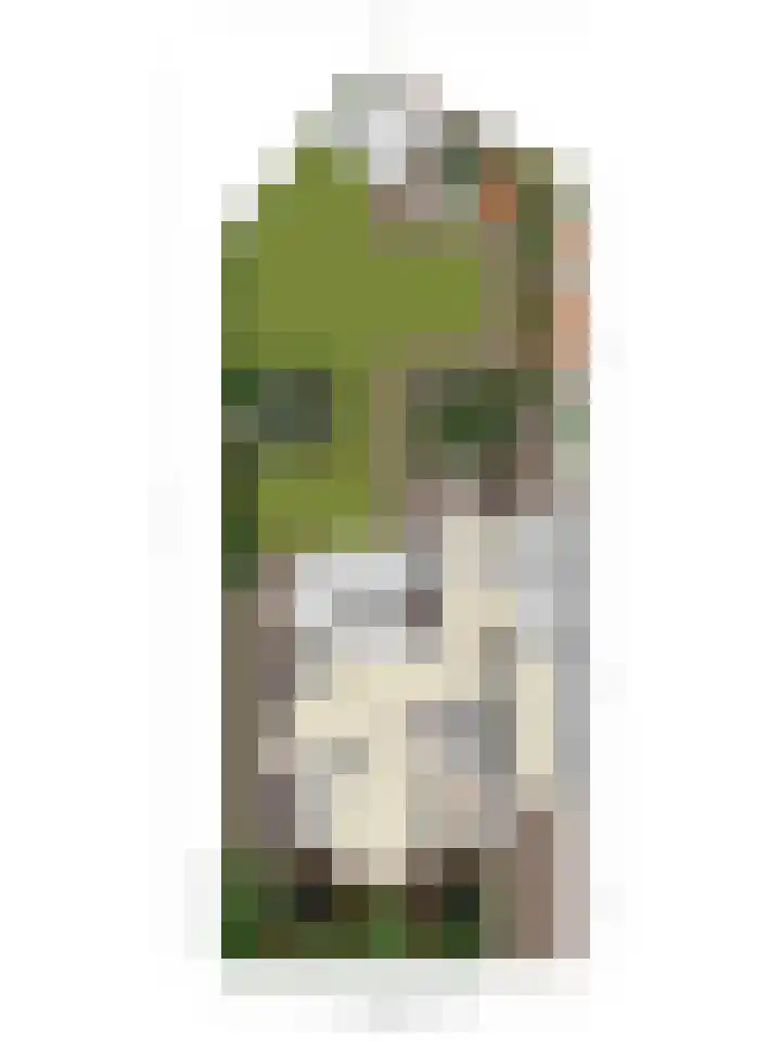 Jeneverbes 4 Oisterwijk thumbnail 44