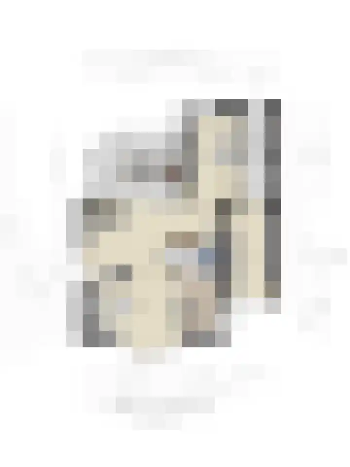 Jeneverbes 4 Oisterwijk thumbnail 45