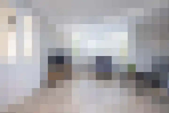 Jeneverbes 4 Oisterwijk thumbnail 5