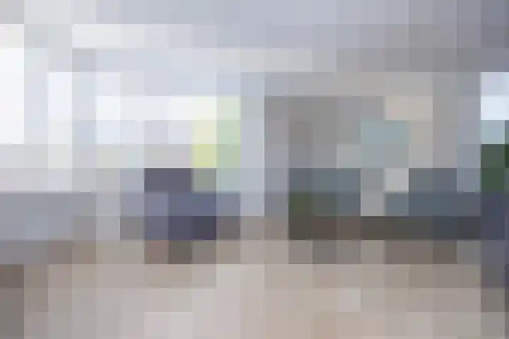 Jeneverbes 4 Oisterwijk thumbnail 6