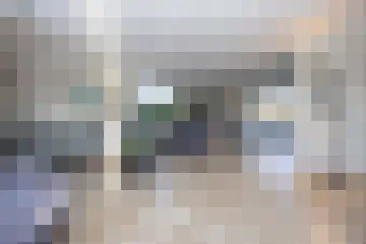 Jeneverbes 4 Oisterwijk thumbnail 7