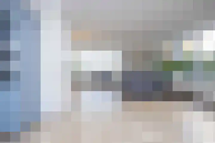 Jeneverbes 4 Oisterwijk thumbnail 9