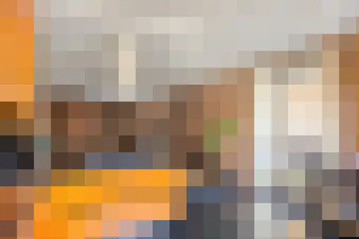 Jeneverbes 49 Oss thumbnail 10