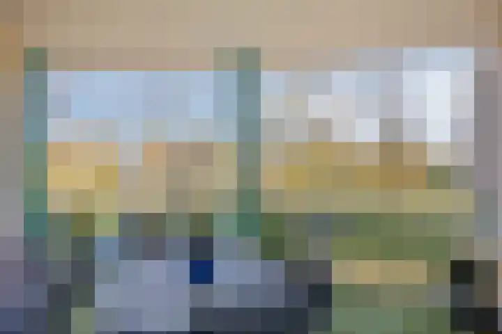 Jeneverbes 49 Oss thumbnail 12