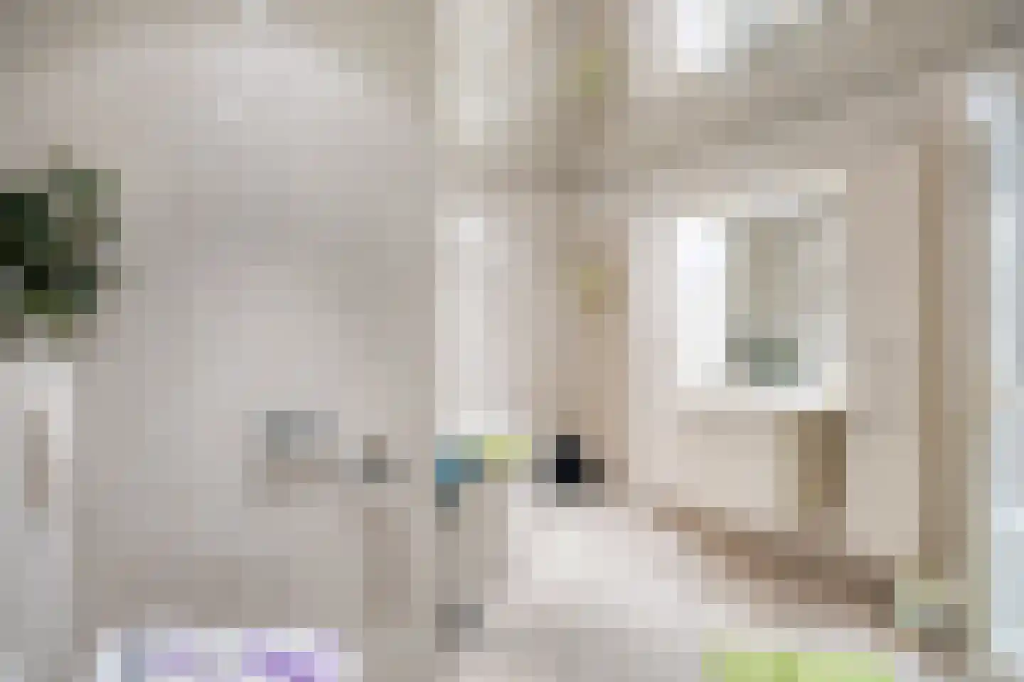 Jeneverbes 49 Oss thumbnail 16