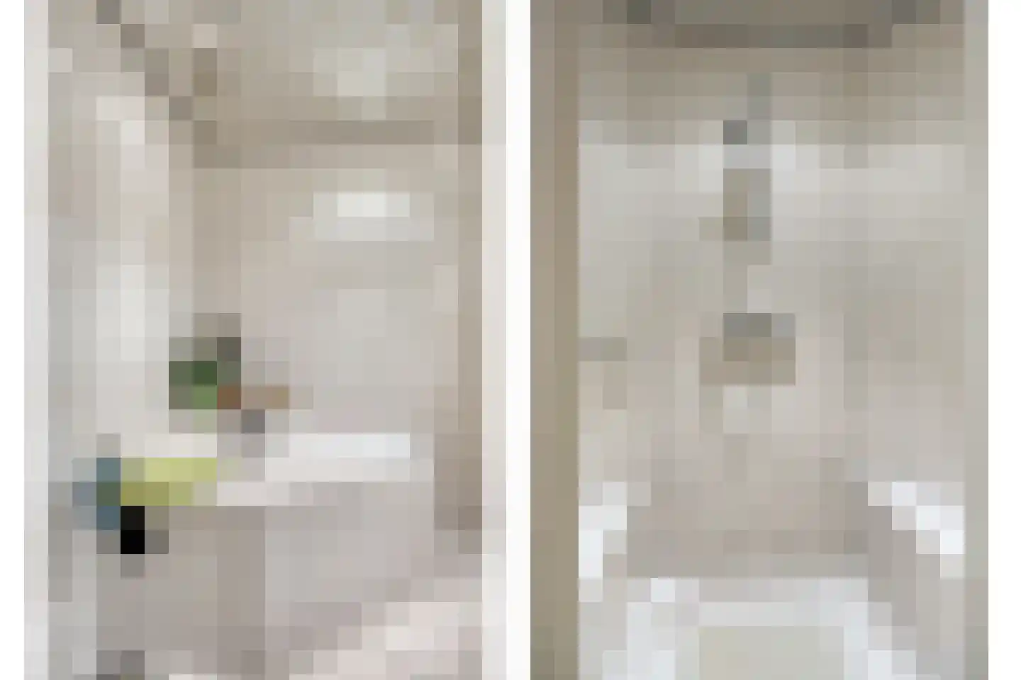 Jeneverbes 49 Oss thumbnail 17