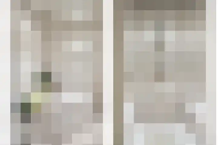 Jeneverbes 49 Oss thumbnail 17