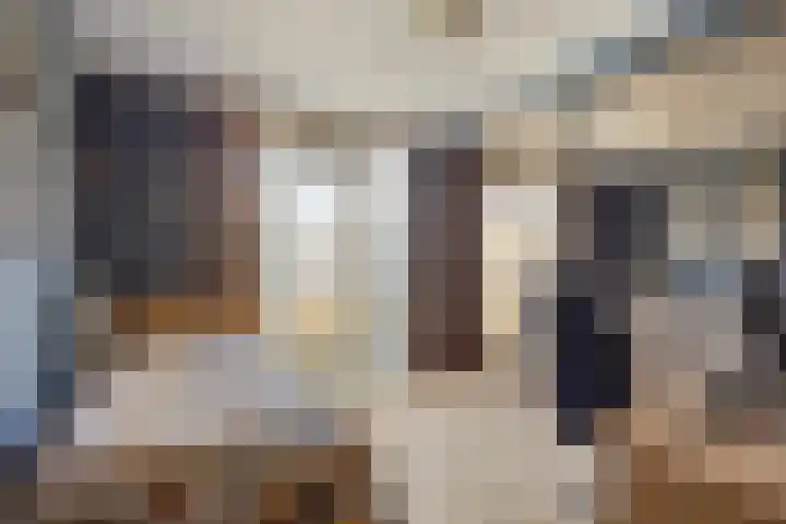 Jeneverbes 49 Oss thumbnail 22