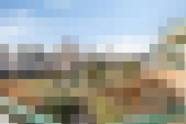 Jeneverbes 49 Oss thumbnail 24