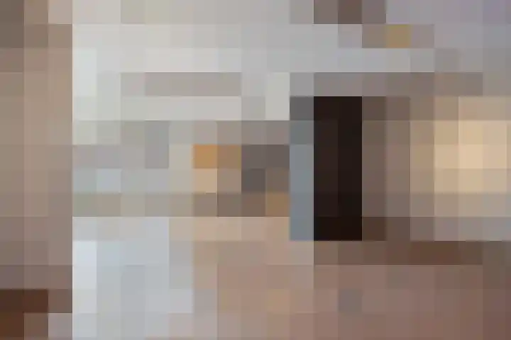 Jeneverbes 49 Oss thumbnail 27