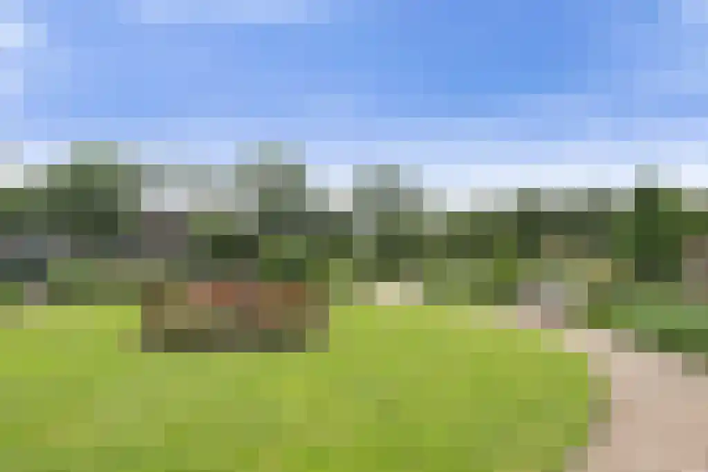 Jeneverbes 49 Oss thumbnail 30