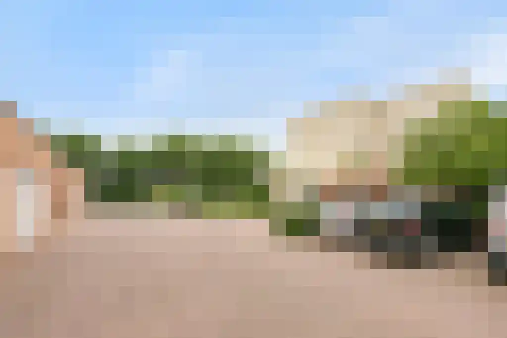 Jeneverbes 49 Oss thumbnail 33