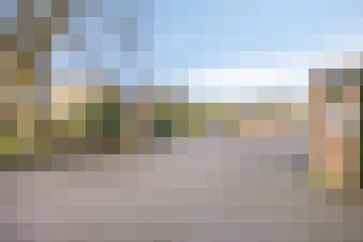 Jeneverbes 49 Oss thumbnail 34