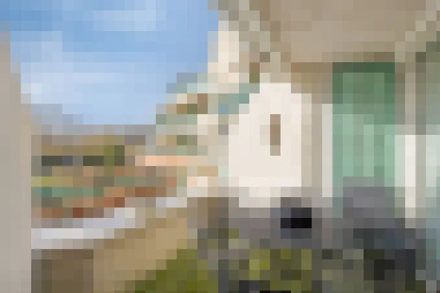 Jeneverbes 49 Oss thumbnail 7