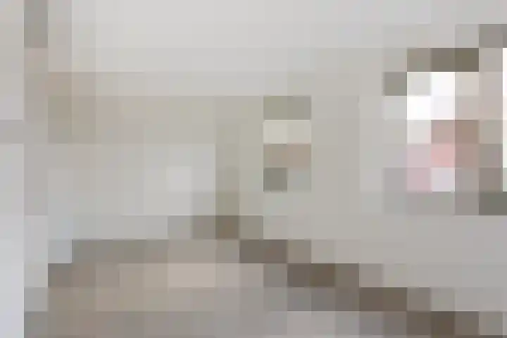 Jeneverbes 5 Borne thumbnail 10