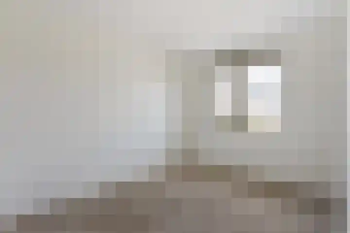 Jeneverbes 5 Borne thumbnail 11