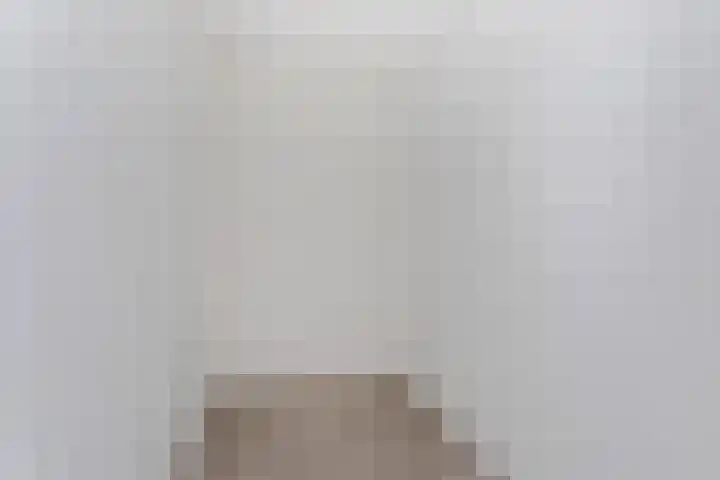 Jeneverbes 5 Borne thumbnail 12
