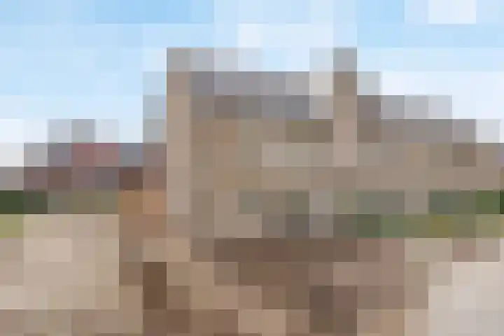 Jeneverbes 5 Borne thumbnail 22