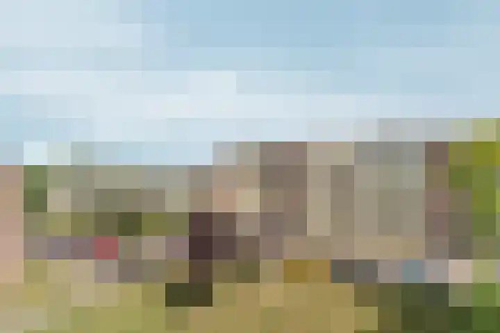 Jeneverbes 5 Borne thumbnail 4