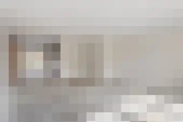 Jeneverbes 5 Borne thumbnail 5
