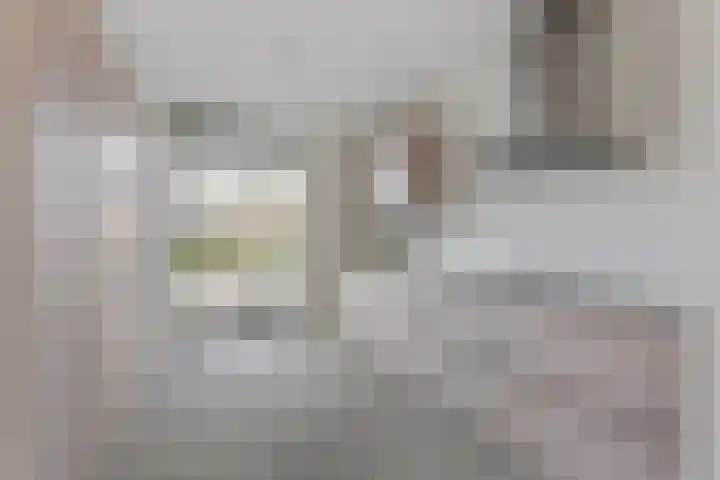 Jeneverbes 5 Borne thumbnail 6