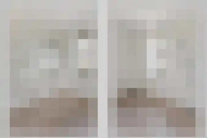 Jeneverbes 5 Borne thumbnail 8