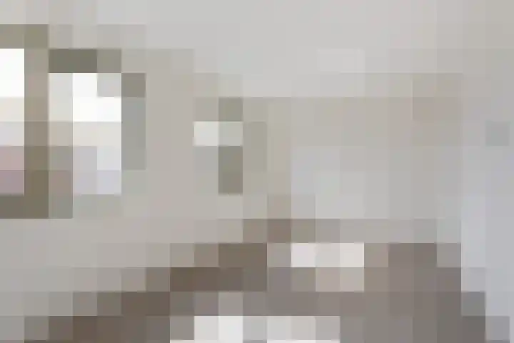 Jeneverbes 5 Borne thumbnail 9