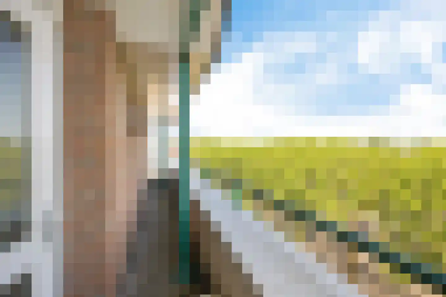 Jeneverbes 77 Oss thumbnail 30