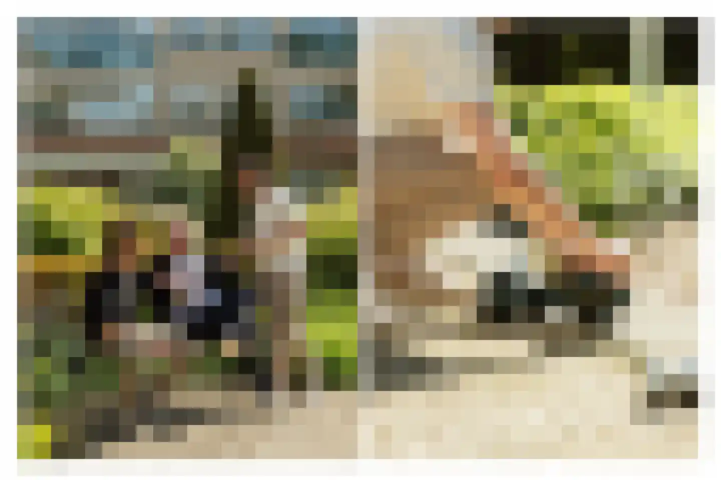 Jeneverbes 77 Oss thumbnail 36