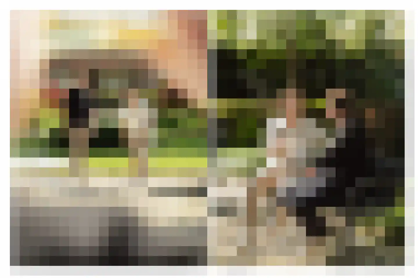 Jeneverbes 77 Oss thumbnail 38