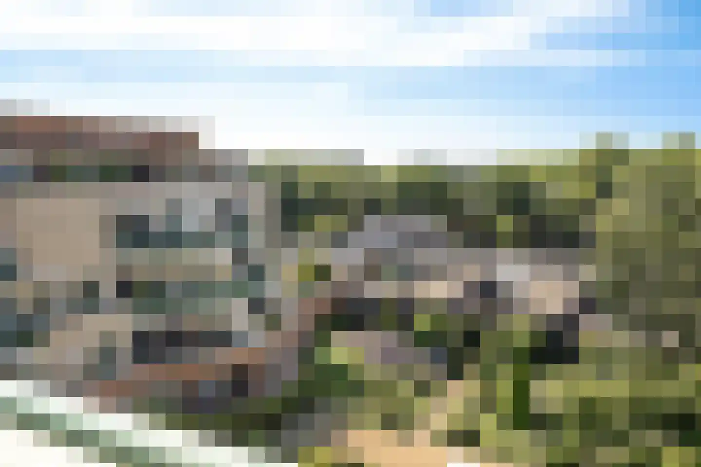 Jeneverbes 77 Oss thumbnail 39