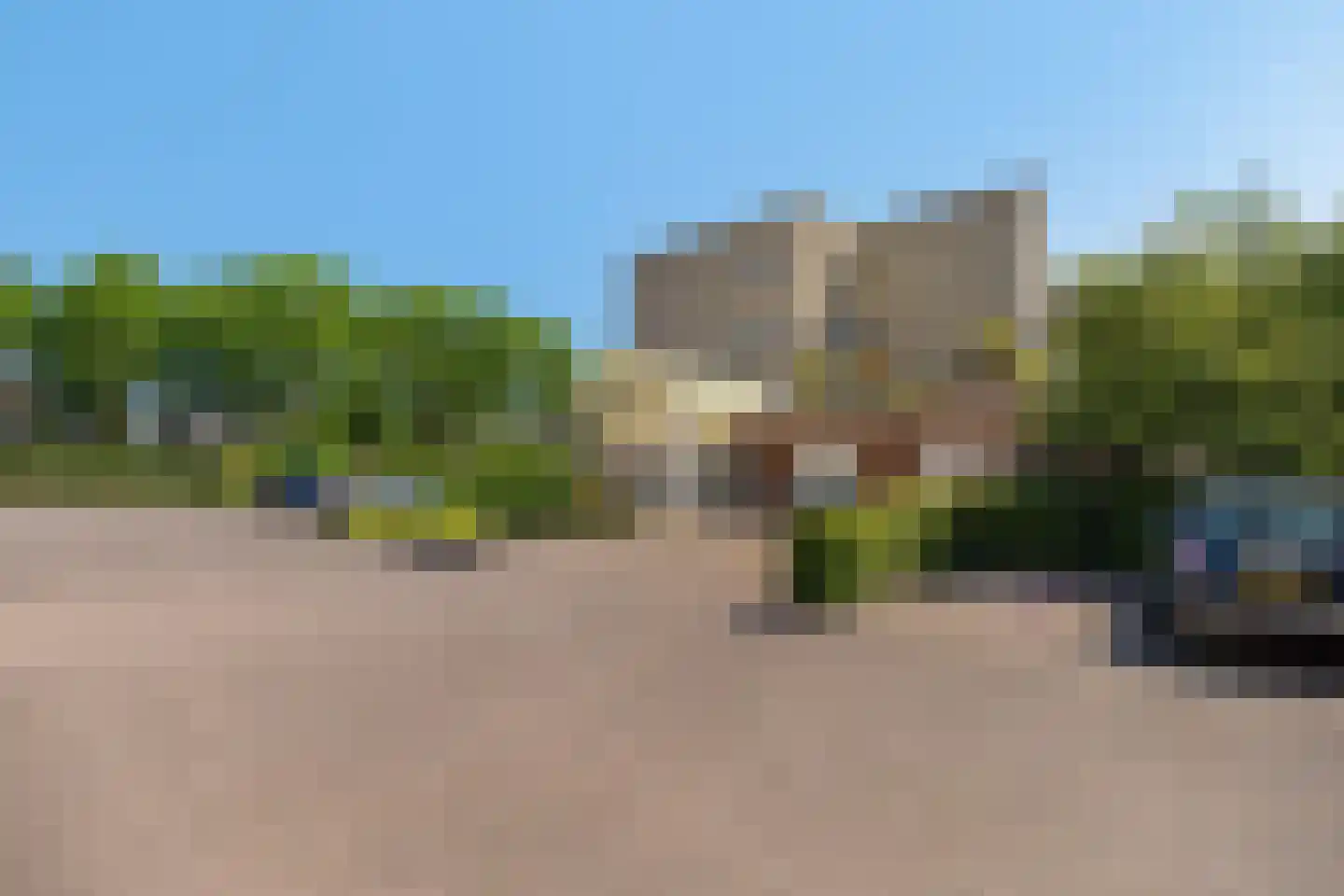 Jeneverbes 77 Oss thumbnail 40