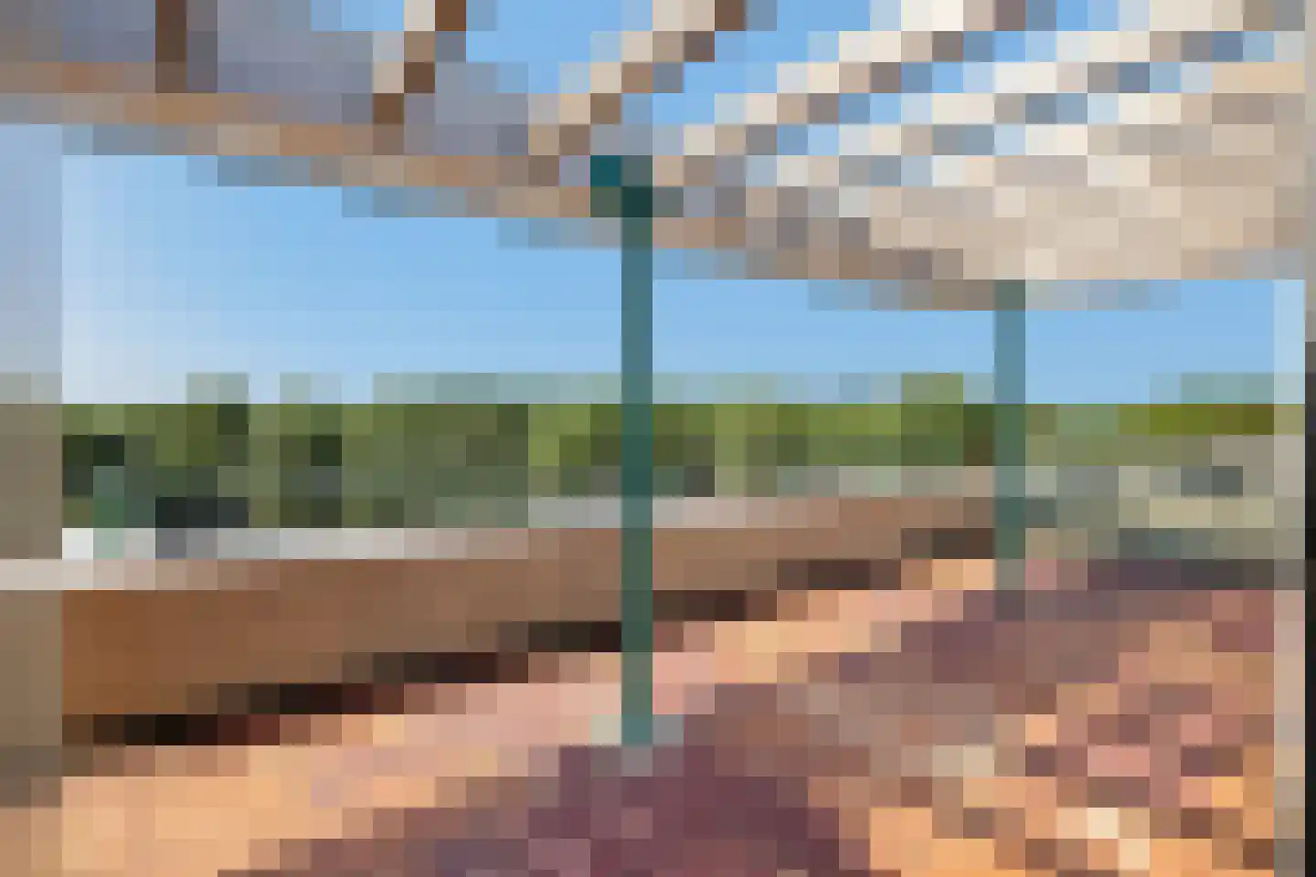 Jeneverbes 77 Oss thumbnail 7